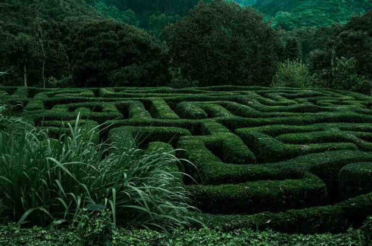 Izgubiti se, lavirint